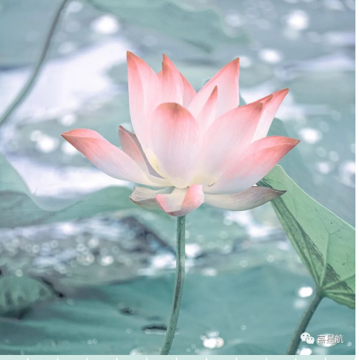 定了！今年居民醫(yī)保繳費(fèi)標(biāo)準(zhǔn)每人每年350元！